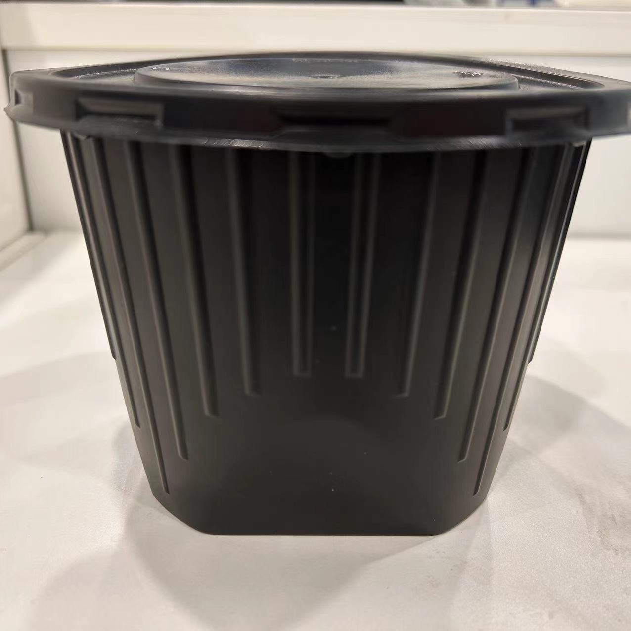 Mug/PP disposable food box